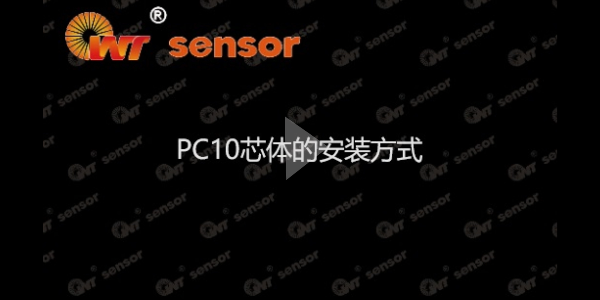 初檢完之后，你知道PC10芯體怎么安裝嗎？