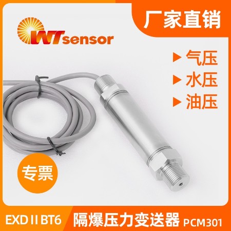 隔爆型壓力變送器PCM301