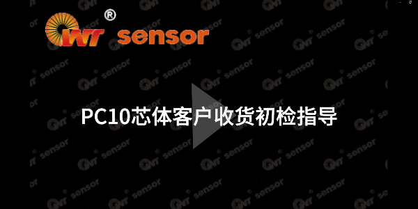 你知道如何進(jìn)行PC10芯體的初檢嗎？